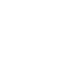 Data Does Not Leave the Country